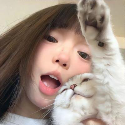 蚁哥正传